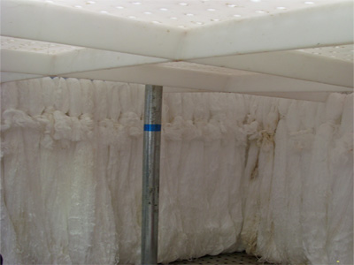 北京某自來(lái)水廠纖維束濾池安裝